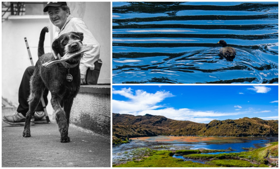 Pepe Tenaz, en la categoría Animales; Michael Alzate, en Paisajes, y Sebastián Timarán, en Vida Cotidiana, son los tres ganadores del concurso de fotografía.