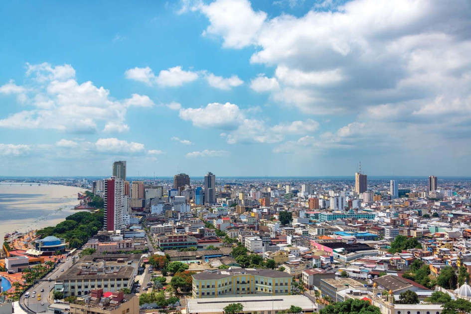 El episodio de violencia ocurrió en Guayaquil. los menores tenían edades comprendidas entre los 6 meses y los 7 años. Los padres se encuentran hospitalizados. El episodio de violencia ocurrió en Guayaquil. los menores tenían edades comprendidas entre los 6 meses y los 7 años. Los padres se encuentran hospitalizados.