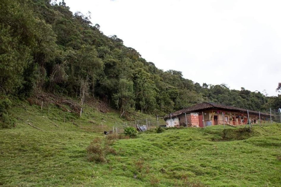22 hectáreas para proteger el río Oro compró la Gobernación de Caldas. 22 hectáreas para proteger el río Oro compró la Gobernación de Caldas.