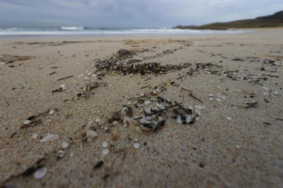 Se estima que hay entre cinco y 50 mil millones de microplásticos en el mar. Se estima que hay entre cinco y 50 mil millones de microplásticos en el mar.