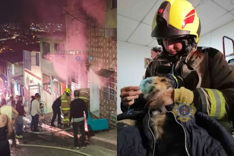 El incendio fue en el barrio Villahermosa. Se logró el rescate de cuatro mascotas. El incendio fue en el barrio Villahermosa. Se logró el rescate de cuatro mascotas.
