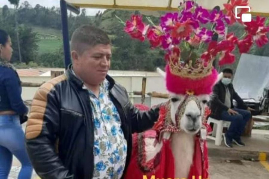 Ordaney González Bedoya Ordaney González Bedoya