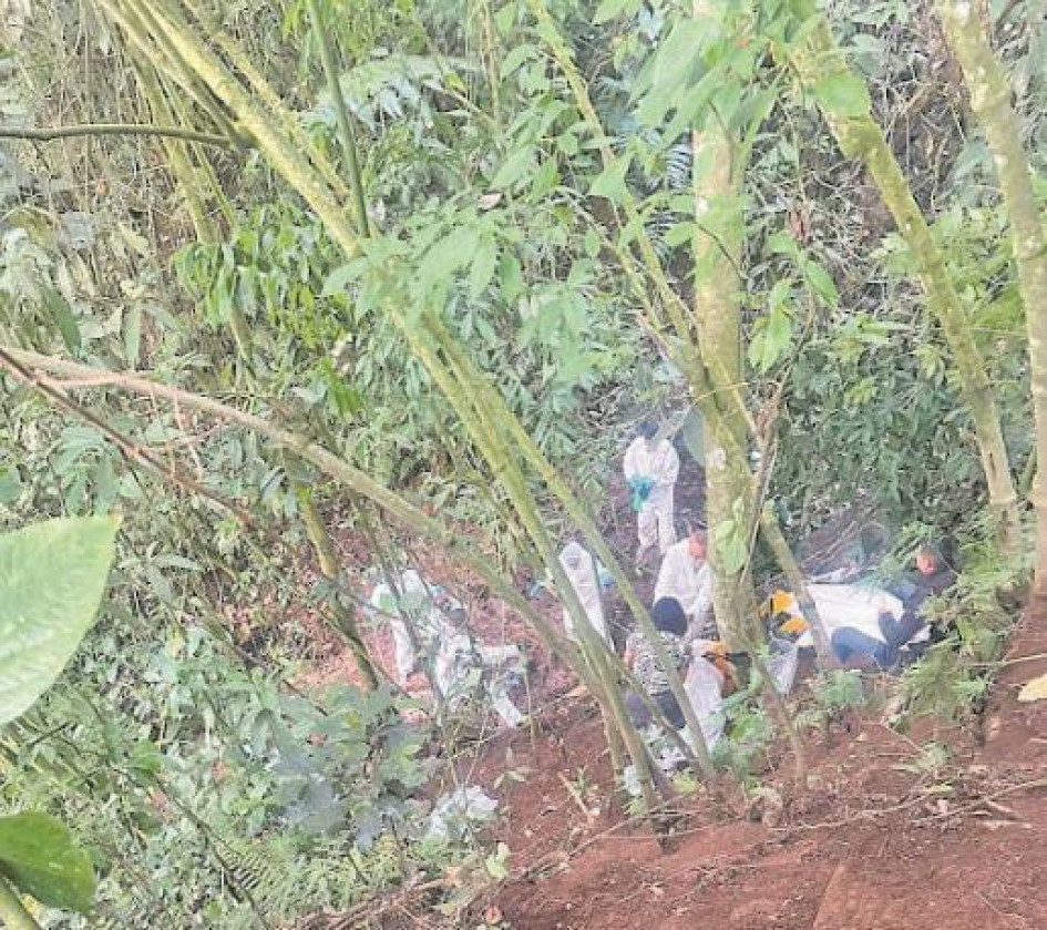 El ataque lo atribuyen a una banda delincuencial organizada. La Gobernación de Risaralda dispuso de un grupo especial de investigación, con un fiscal llegado de Cali. Ofreció $20 millones de recompensa por información para esclarecer la masacre. El ataque lo atribuyen a una banda delincuencial organizada. La Gobernación de Risaralda dispuso de un grupo especial de investigación, con un fiscal llegado de Cali. Ofreció $20 millones de recompensa por información para esclarecer la masacre.