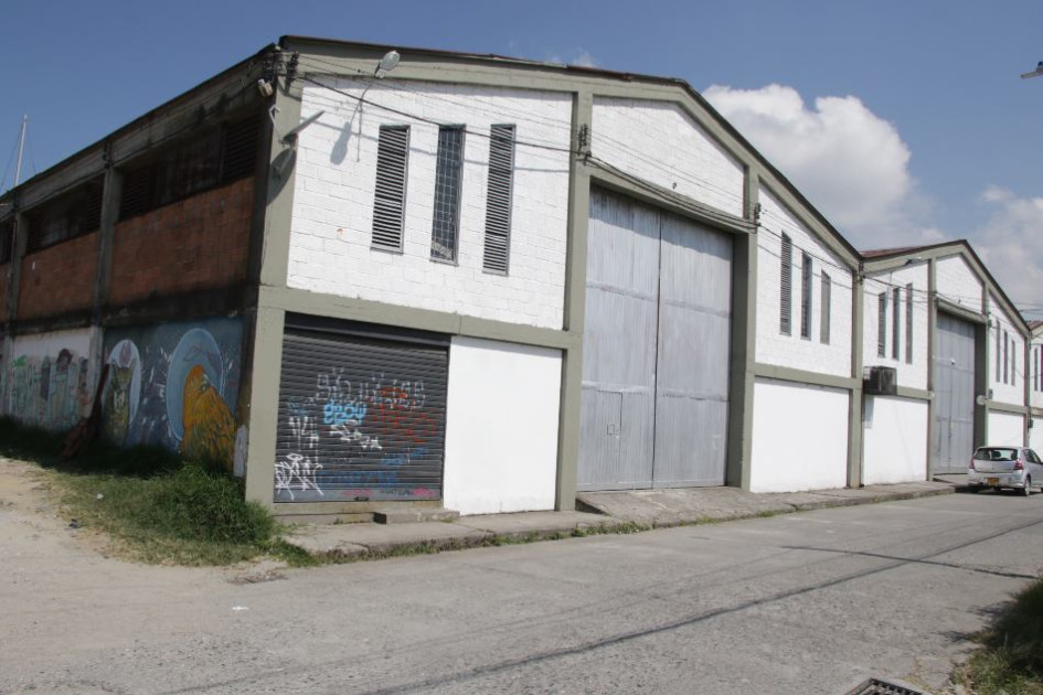 Color Siete creció con el liderazgo de marcas como Rosé Pistol, Rosé Pistol Kids y Jack Supplies.