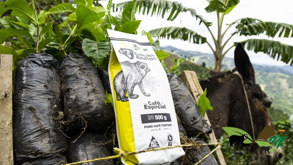 A través de la producción de café y de miel de abejas, caficultores vallecaucanos buscan proteger el oso de anteojos. A través de la producción de café y de miel de abejas, caficultores vallecaucanos buscan proteger el oso de anteojos.