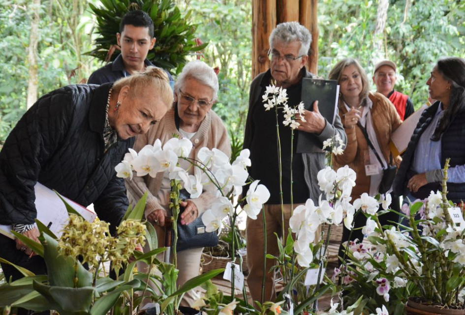 El recorrido de los jurados por los diferentes estands ubicados en el Pabellón de Madera del Recinto del Pensamiento. El recorrido de los jurados por los diferentes estands ubicados en el Pabellón de Madera del Recinto del Pensamiento.