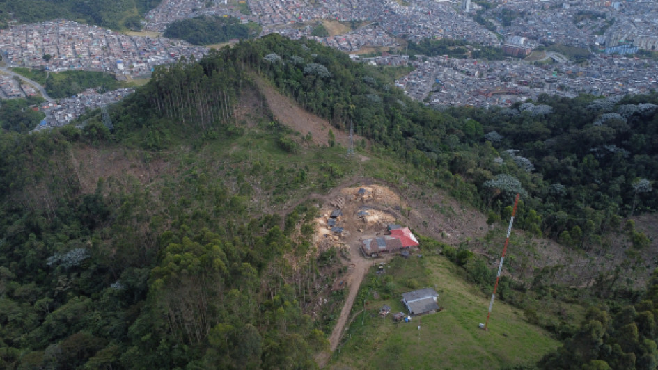 Finca de aserradero de Eucalipto en Monteleón
