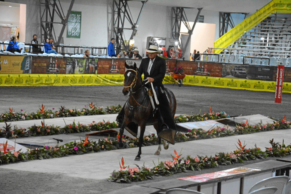 Para el próximo año esperan una feria doble A. Para el próximo año esperan una feria doble A.