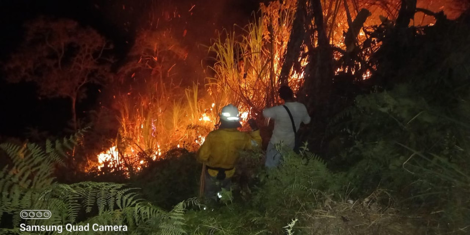 En la vereda El Porvenir de Supía se originó un incendio desde la noche del miércoles que duró hasta la madrugada del día siguiente. En la vereda El Porvenir de Supía se originó un incendio desde la noche del miércoles que duró hasta la madrugada del día siguiente.
