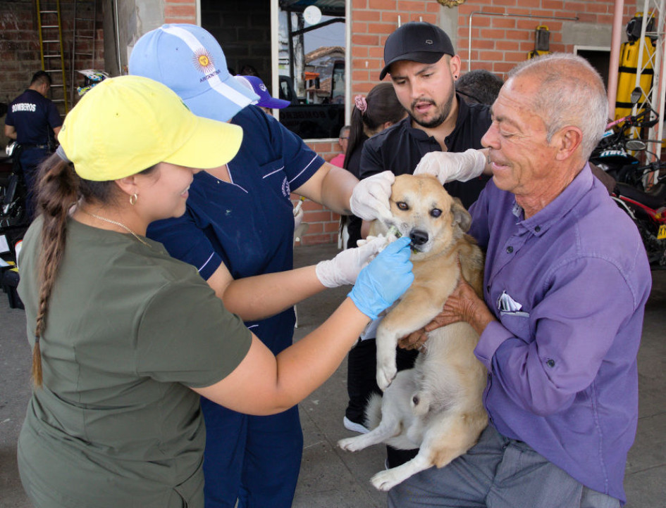 Jornada veterinaria