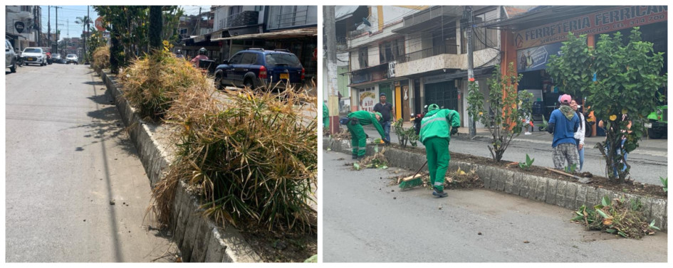 ANTES. Así estaban las plantas del separador. AHORA. Actualmente, Crea les hace el mantenimiento. ANTES. Así estaban las plantas del separador. AHORA. Actualmente, Crea les hace el mantenimiento.
