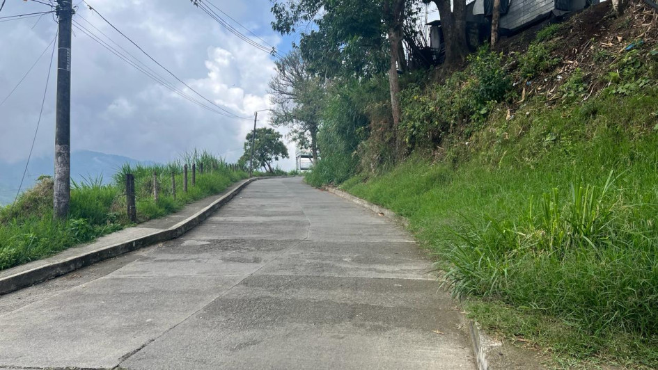 Foto | Albeiro Rudas | LA PATRIA El crecimiento de la maleza cubre los senderos peatonales. Foto | Albeiro Rudas | LA PATRIA El crecimiento de la maleza cubre los senderos peatonales.