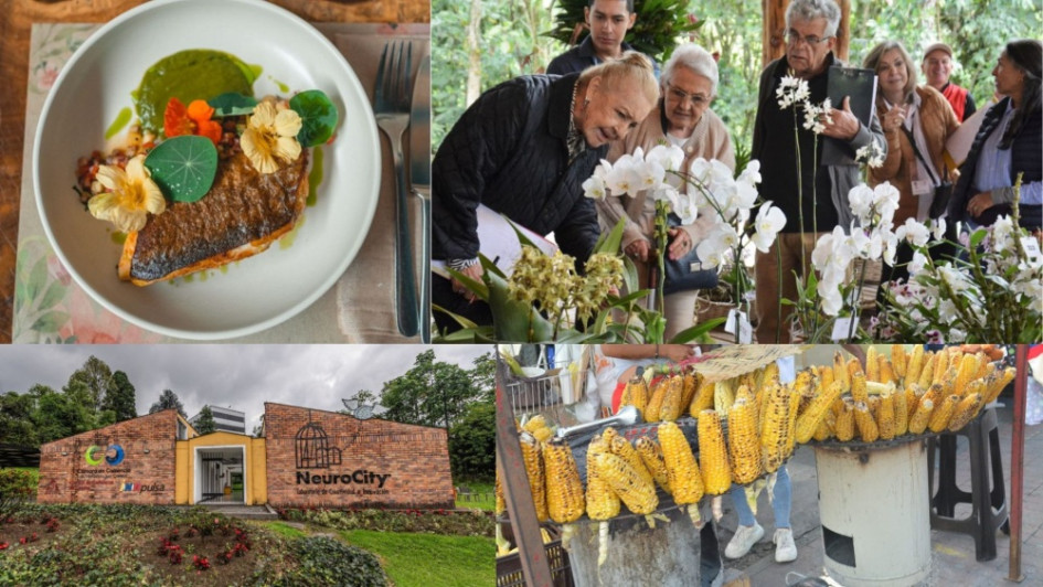 Expertos definen las fortalezas y las actividades que Manizales puede explotar para atraer más inversión extranjera y turismo. Expertos definen las fortalezas y las actividades que Manizales puede explotar para atraer más inversión extranjera y turismo.