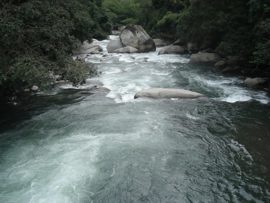 El río La Miel desemboca en El Magdalena y durante su travesía se pueden encontrar rápidos, caídas de agua y pozos. El río La Miel desemboca en El Magdalena y durante su travesía se pueden encontrar rápidos, caídas de agua y pozos.