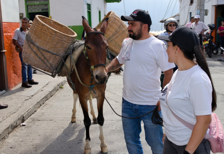 La llegada de la mula, una vieja tradición que se recupera en Salamina para reavivar la solidaridad por los adultos mayores. La llegada de la mula, una vieja tradición que se recupera en Salamina para reavivar la solidaridad por los adultos mayores.