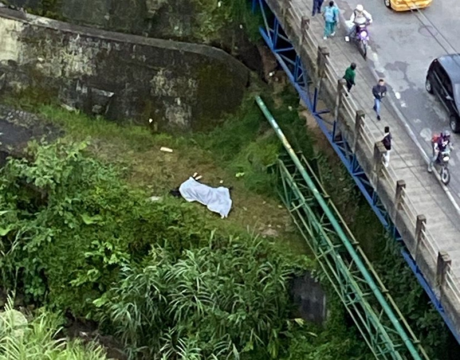 Este es el caballo que cayó en la avenida Kevin Ángel. Sus múltiples lesiones y heridas no permitieron salvarlo. Este es el caballo que cayó en la avenida Kevin Ángel. Sus múltiples lesiones y heridas no permitieron salvarlo.