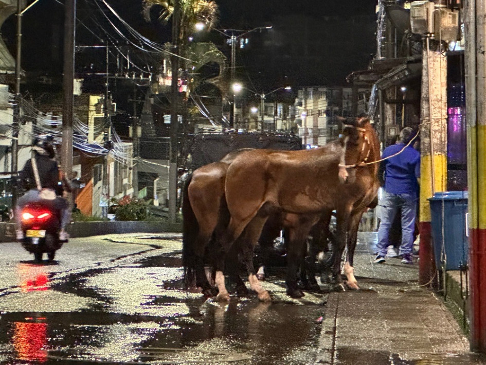 Los equinos expuestos al aguacero en horas de la noche en la avenida El Libertador de Anserma (Caldas). Los equinos expuestos al aguacero en horas de la noche en la avenida El Libertador de Anserma (Caldas).