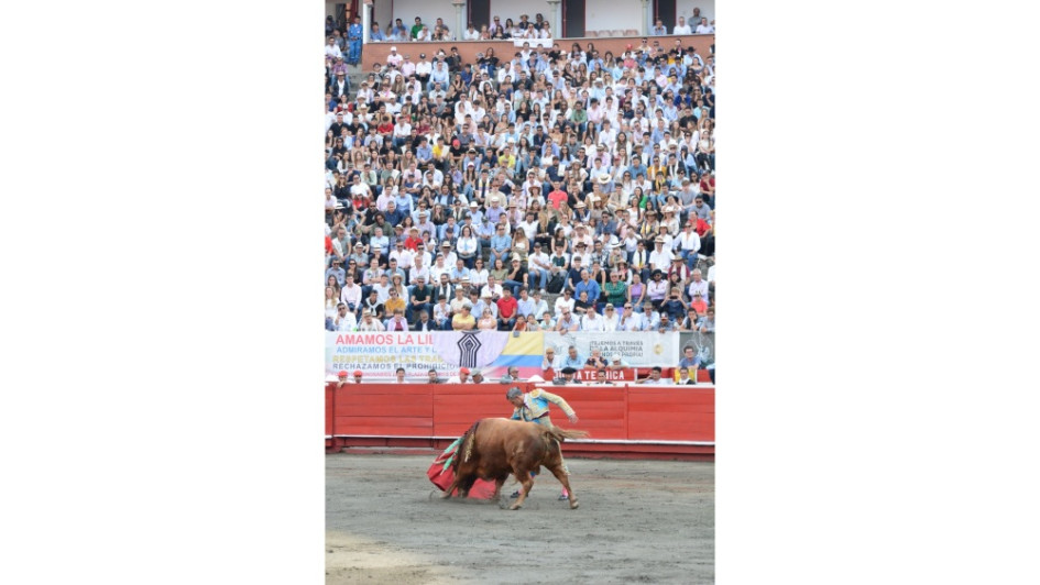 Serán tres años más que se podrán hacer corridas de toros en Manizales. Serán tres años más que se podrán hacer corridas de toros en Manizales.