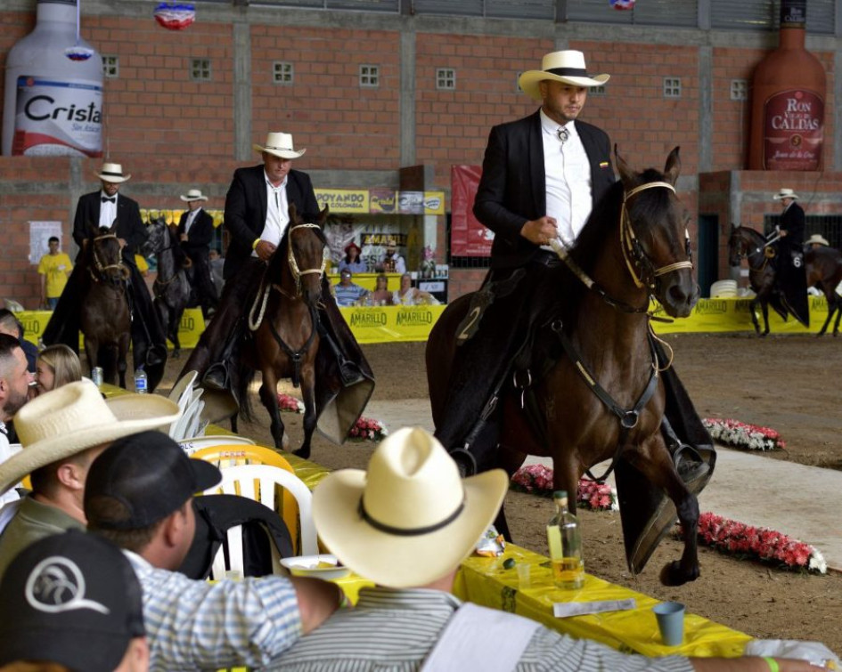 La exposición equina de Salamina se realizará en el Coliseo Cubierto del municipio este fin de semana. La exposición equina de Salamina se realizará en el Coliseo Cubierto del municipio este fin de semana.
