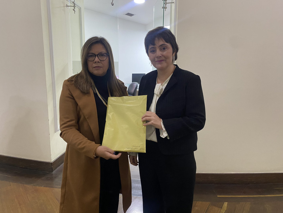 La representante a la Cámara Carolina Giraldo La representante a la Cámara Carolina Giraldo