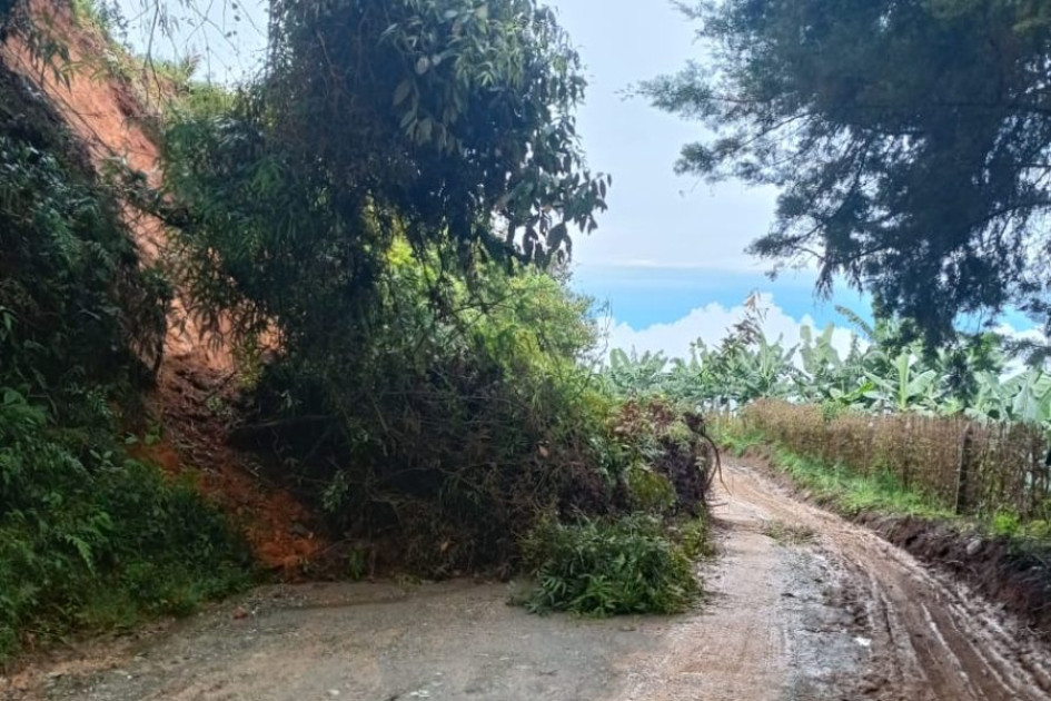 El derrumbe que cayó en el sector de Las Coles, en la vía Salamina - Pácora.