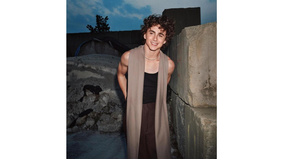 El actor Timothée Chalamet. El actor Timothée Chalamet.