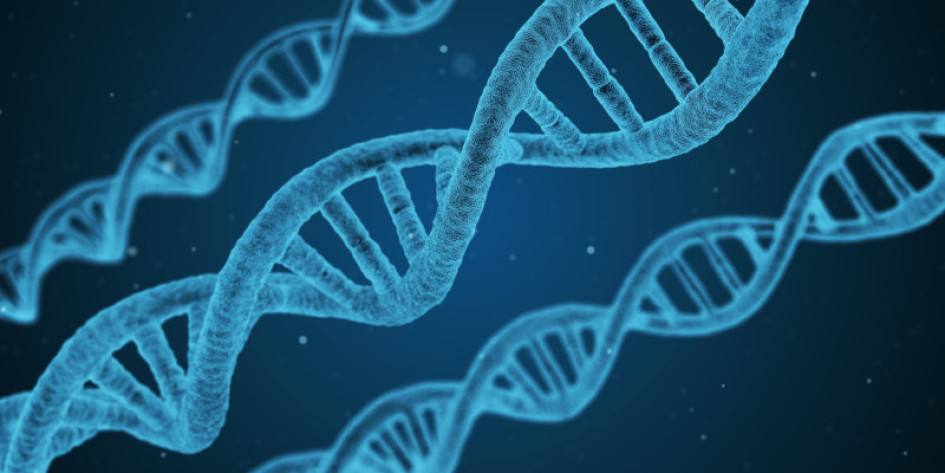 Ciencia Salud