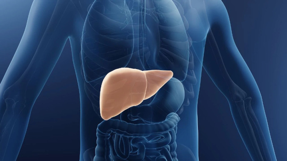 Hígado Salud