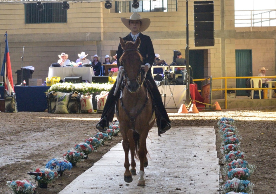 Los caballos se exhibieron durante la XXXVII Exposición Equina Grado B de Salamina (Caldas). Los caballos se exhibieron durante la XXXVII Exposición Equina Grado B de Salamina (Caldas).