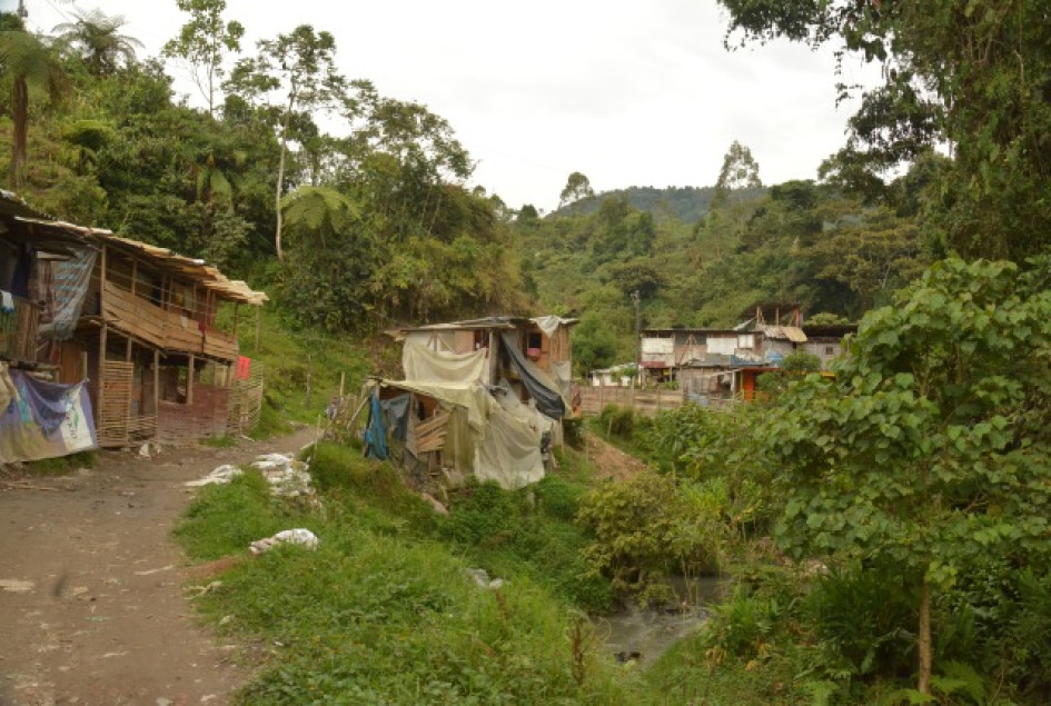 La agresión ocurrió en la invasión del Alto del Guamo en Manizales. La agresión ocurrió en la invasión del Alto del Guamo en Manizales.