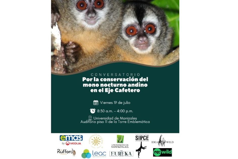 Conversatorio mono nocturno Conversatorio mono nocturno