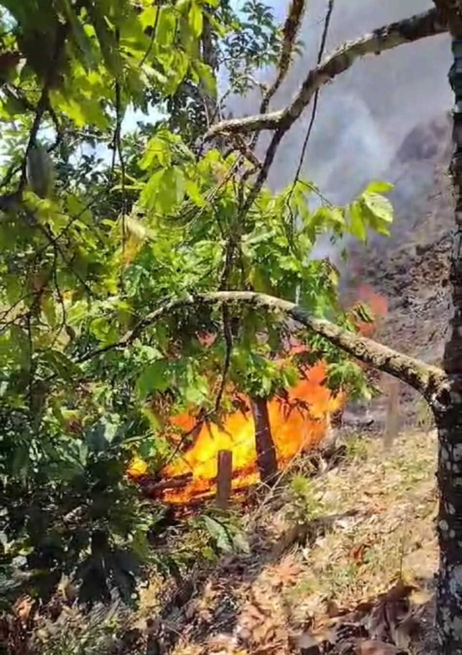 Cuando el área afectada implica más de 0.5 hectáreas (5 mil metros cuadrados) o media hectárea se habla de incendio forestal, pero cuando es menor de 5 mil metros cuadrados se llama conato de incendio. Cuando el área afectada implica más de 0.5 hectáreas (5 mil metros cuadrados) o media hectárea se habla de incendio forestal, pero cuando es menor de 5 mil metros cuadrados se llama conato de incendio.