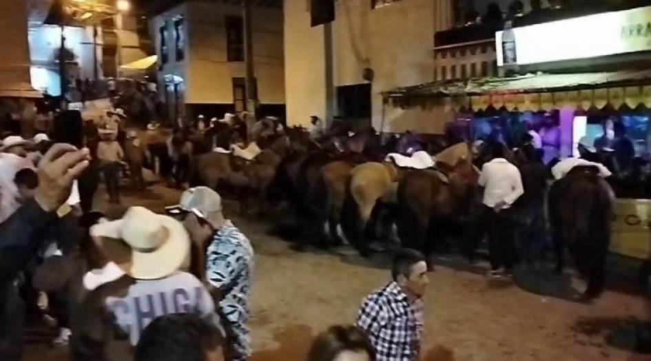 En las imágenes difundidas por los veedores ciudadanos se aprecian los incumplimientos de los caballistas. En las imágenes difundidas por los veedores ciudadanos se aprecian los incumplimientos de los caballistas.