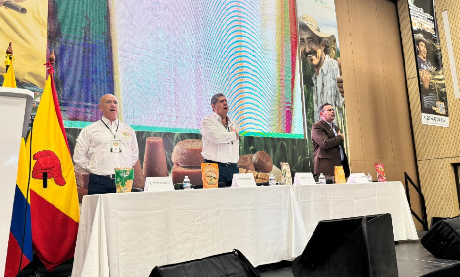 El sector panelero es el segundo más importante del país, pero se enfrenta a grandes retos para su producción. Carlos Mayorga (izq), Ricardo Palacio (cen), Mayor General (r) Juvenal Díaz Mateus (der) El sector panelero es el segundo más importante del país, pero se enfrenta a grandes retos para su producción. Carlos Mayorga (izq), Ricardo Palacio (cen), Mayor General (r) Juvenal Díaz Mateus (der)