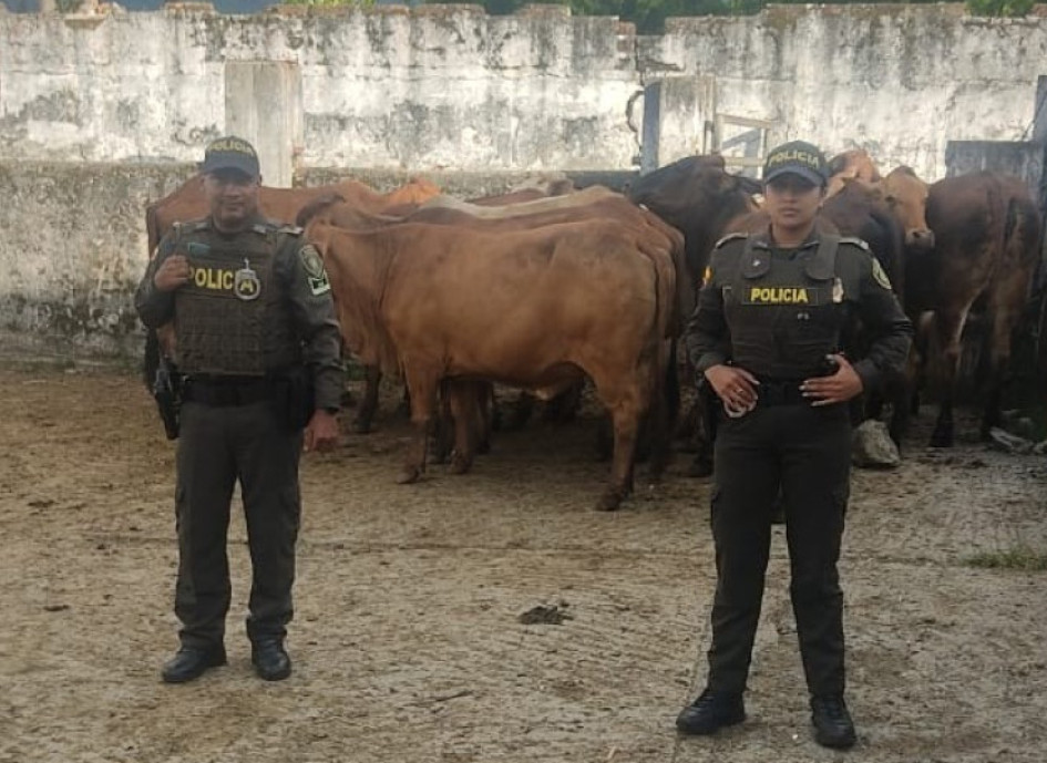 Los animales recuperados por la Policía. Los animales recuperados por la Policía.