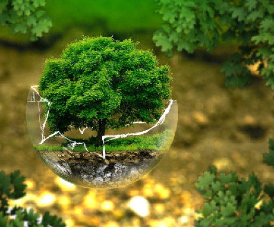 medioambiente medioambiente