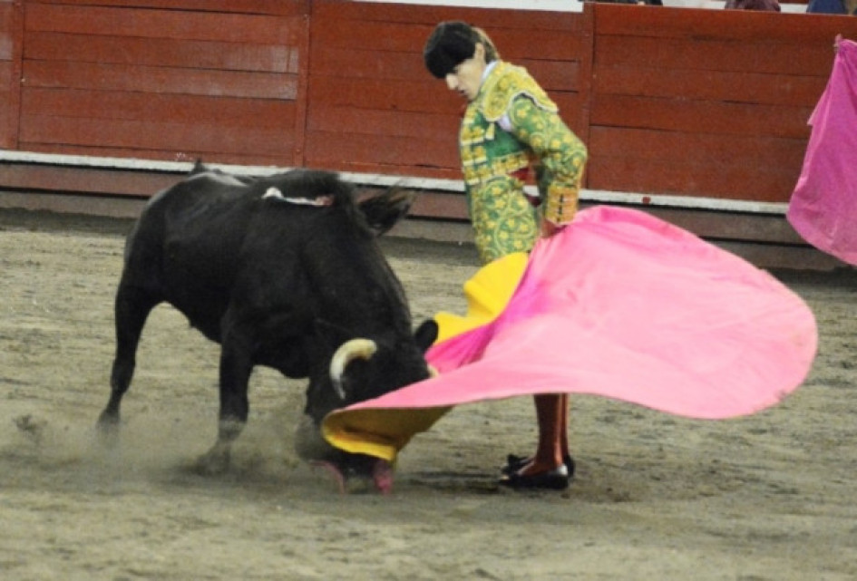 El novillero Nicolás Vanegas, de Ginebra (Valle del Cauca), fue el más aclamado por el público en una noche de la temporada 2023 en la Feria de Toros y Ciudad en la Plaza de Toros de Manizales. El novillero Nicolás Vanegas, de Ginebra (Valle del Cauca), fue el más aclamado por el público en una noche de la temporada 2023 en la Feria de Toros y Ciudad en la Plaza de Toros de Manizales.