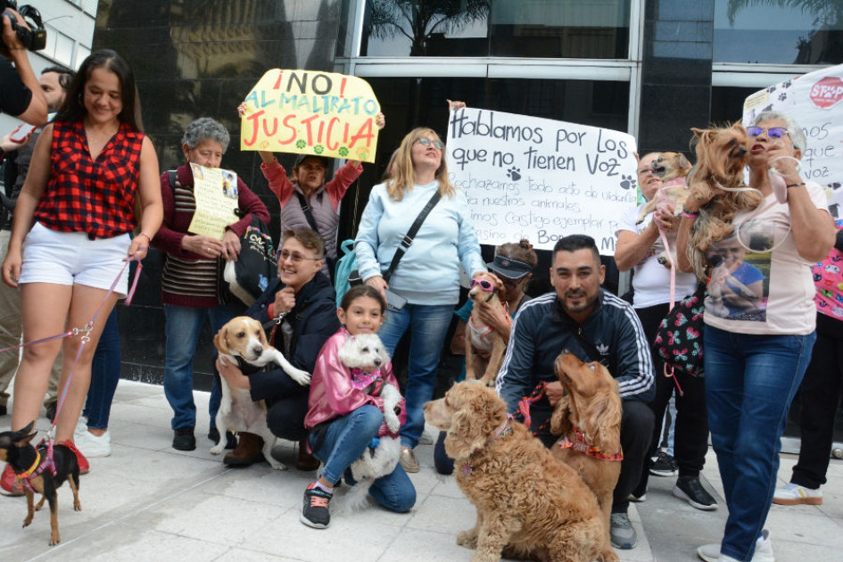 protesta contra el maltrato animal