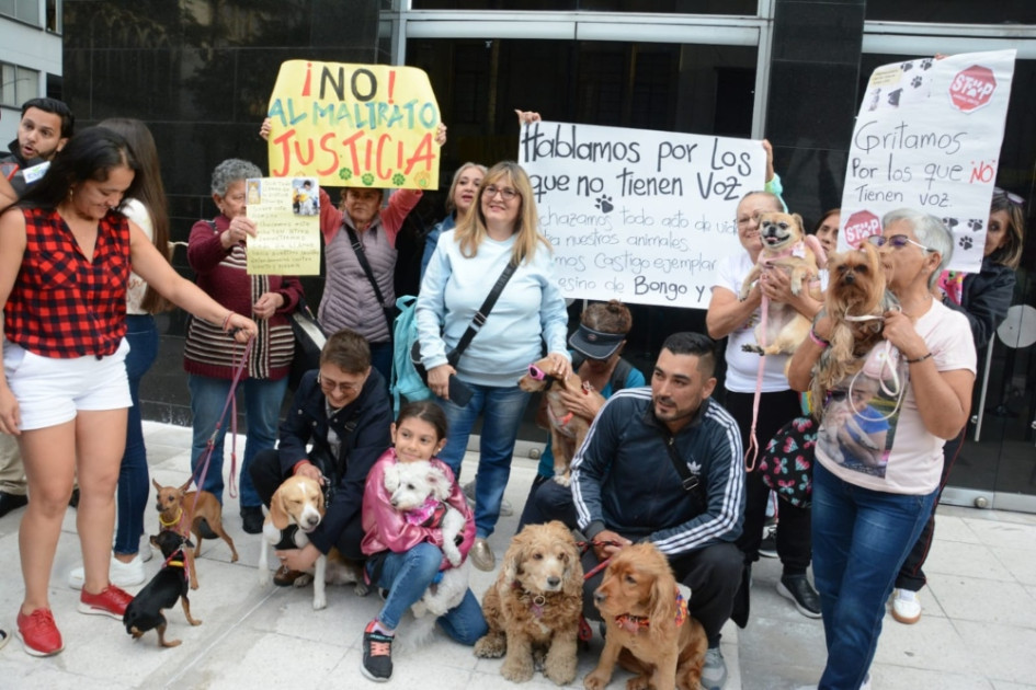 Ciudadanos llegaron con sus mascotas y con carteles para protestar por el maltrato animal en Manizales. planton-por-maltrato-animal