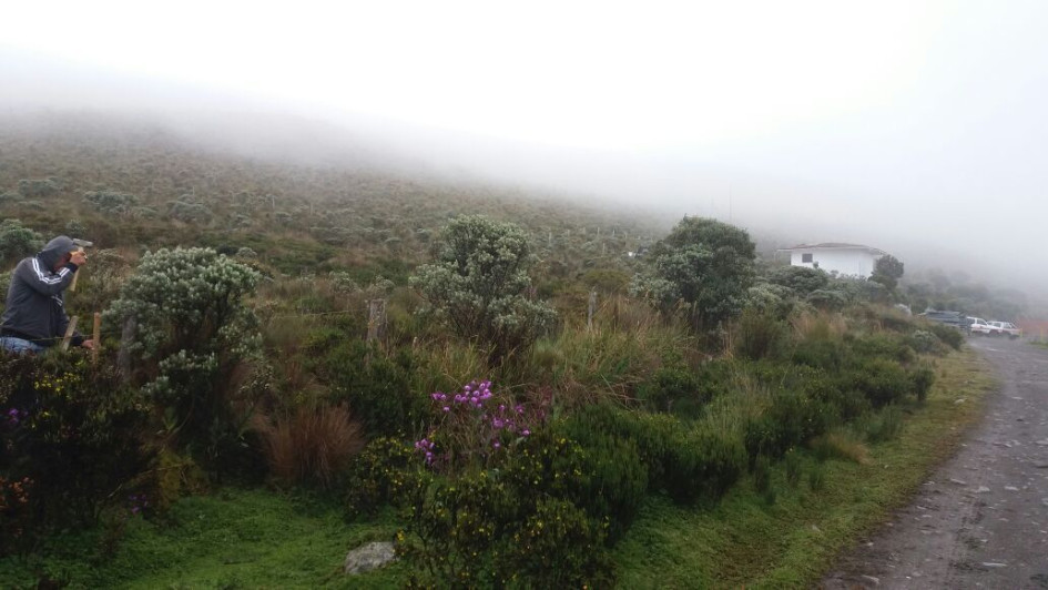 La ANT no comprará predios en el PNN Los Nevados ni en su zona de influencia en los predios entre Villamaría (Caldas) y Santa Rosa de Cabal (Risaralda). La ANT no comprará predios en el PNN Los Nevados ni en su zona de influencia en los predios entre Villamaría (Caldas) y Santa Rosa de Cabal (Risaralda).