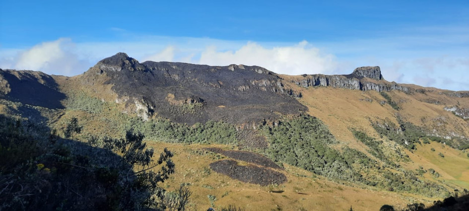 Una línea de energía reventada ocasionó el incendio que consumió varias hectáreas en zona de influencia del PNN Los Nevados. Una línea de energía reventada ocasionó el incendio que consumió varias hectáreas en zona de influencia del PNN Los Nevados.