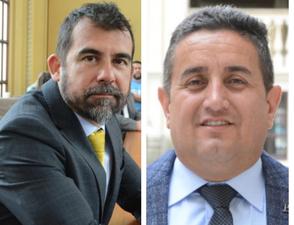 diputados diputados