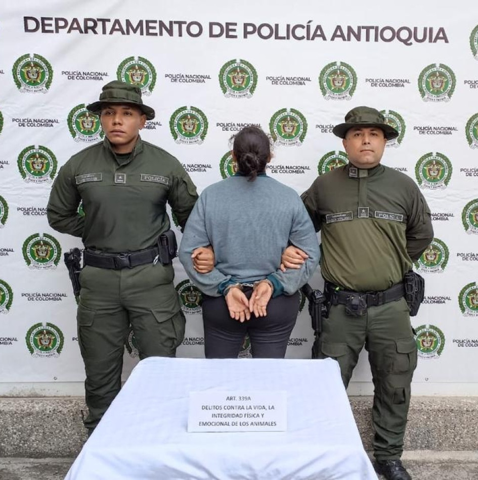 La mujer capturada en Antioquia deberá responder por maltrato animal. La mujer capturada en Antioquia deberá responder por maltrato animal.