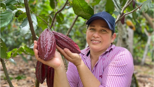 Supimos que: Presentan Índice Territorial de Crecimiento Verde
