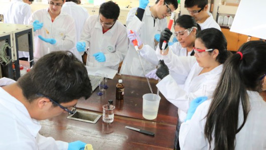  Erasmus + impulsa la investigación en la U. de Caldas