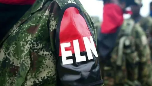 Eln suspende de manera temporal paro armado en Chocó, según Defensoría