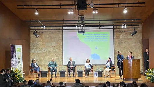 Gobierno pide por primera vez perdón públicamente por los "falsos positivos"