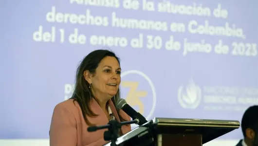 ONU reporta reducción de asesinatos de líderes sociales y aumento de masacres en Colombia