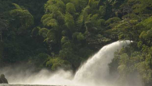 Conozca a los cinco hombres quieren llegar a la Alcaldía de Norcasia (Caldas)