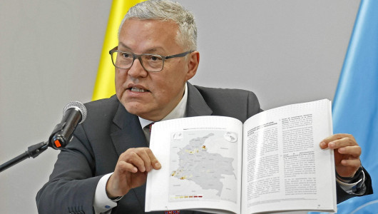 Colombia advierte "desaceleración" en cultivos de coca a pesar de las cifras